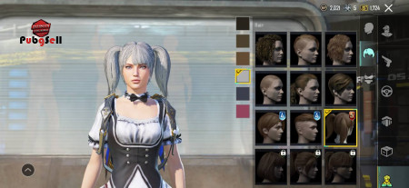 خرید و فروش اکانت پابجی موبایل