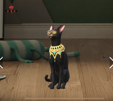 خرید و فروش اکانت پابجی موبایل