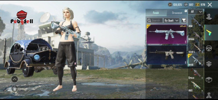 خرید و فروش اکانت پابجی موبایل