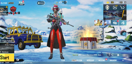 خرید و فروش اکانت پابجی موبایل