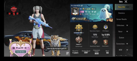 خرید و فروش اکانت پابجی موبایل