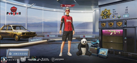 خرید و فروش اکانت پابجی موبایل