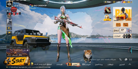 خرید و فروش اکانت پابجی موبایل