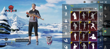 خرید و فروش اکانت پابجی موبایل